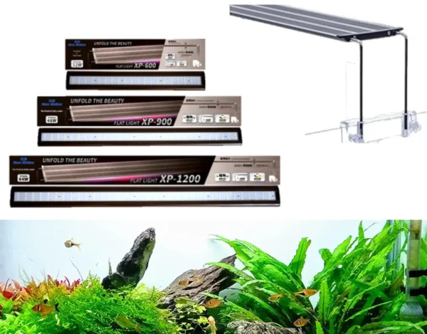 Neo Helios XP Series Flat LED Lights